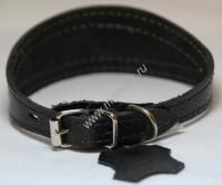 ЗООМАСТЕР 1,5 см х 30 см ошейник для борзых