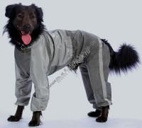 ТУЗИК ош 64 ог 104 от 89 дс 70 рост 78 комбинезон холодный для породы черный терьер сука