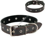 HOMEPET 35 мм 59-61 см ошейник для собак кожаный двойной с украшениями простроченный двухслойный черный