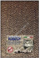 GEORPLAST FLIPPER BILL 10шт комплект сменных элементов для когтеточки