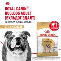 ROYAL CANIN BULLDOG ADULT 3 кг сухой корм для Английских бульдогов старше 12 месяцев 