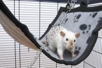 SAVIC 25 см х 30 см гамак для хорька открытый малый