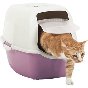 Наполнители и туалеты