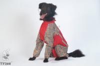 ТУЗИК ош 48 ог 82 от 61 дс 60 рост 63 комбинезон холодный для породы пойнтер сука