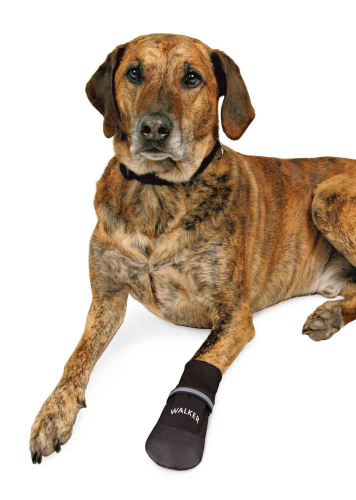 Тапок Walker Professional, размер 1, из нейлона (2 шт.)