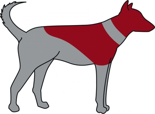 Защитный надувной воротник, XXS (14-18 см), синий