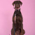 Ошейник United Pets для собак Complete me Forever L 43-73/2,5 см, оранжевый с рисунком