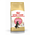 ROYAL CANIN Maine Coon Kitten 2 кг корм для котят Мэйн Кун в возрасте до 15 месяцев