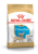 ROYAL CANIN CHIHUAHUA PUPPY 1,5 кг сухой корм для щенков породы Чихуахуа до 8 месяцев 