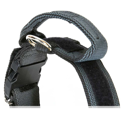 JULIUS-K9 ошейник для собак Color & Gray (38-53см/4см), с закрытой ручкой, черно-серый
