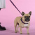 Шлейка United Pets для собак Complete me Identity 3,5 x 48-64 см, черная с розовым
