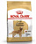 ROYAL CANIN GOLDEN RETRIEVER ADULT 12 кг сухой корм для собак породы Голден Ретривер старше 15 месяцев