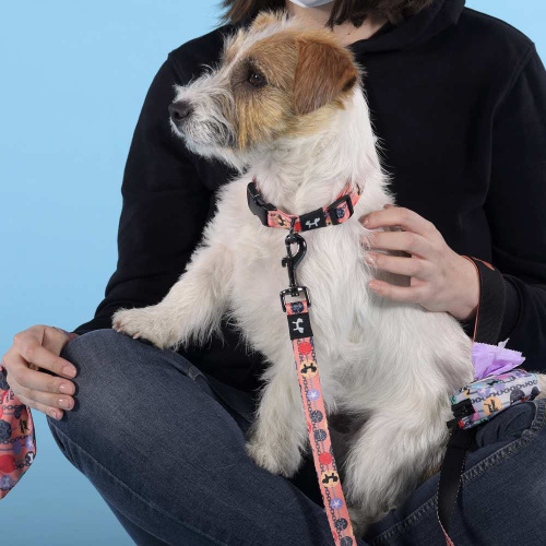 Ошейник United Pets для собак Complete me Forever S 26-40/1,6 см, оранжевый с рисунком