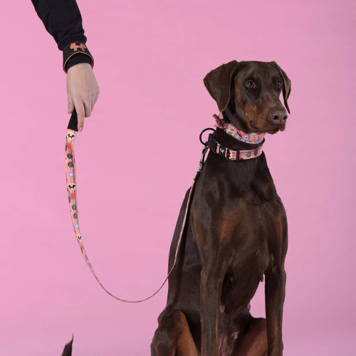 Поводок United Pets для собак Complete me Forever 140 см, 20 мм, оранжевый с рисунком