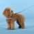 Шлейка United Pets для собак Complete me Forever 2,5 x 40-54 см, оранжевая с рисунком