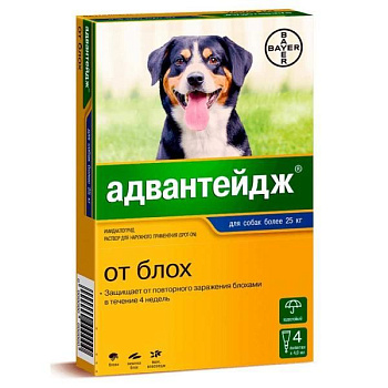 Bayer Адвантейдж 400 для собак 25-40 кг от блох (4 пипетки х 4 мл) Bayer Адвантейдж 400 для собак 25-40 кг от блох (4 пипетки х 4 мл)