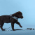 Шлейка United Pets для собак Complete me Writing 2,5 x 40-54 см, голубая с рисунком