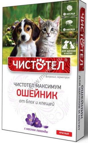ЧИСТОТЕЛ 45 см ошейник юниор для щенков и котят красный 