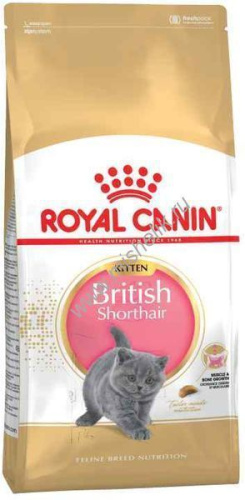 ROYAL CANIN BRITISH SHORTHAIR KITTEN 400 г сухой корм для котят породы Британской короткошерстной в возрасте от 4 до 12 месяцев 