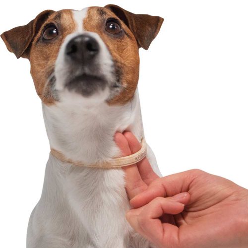 Bayer Килтикс ошейник от клещей 38 см для собак мелких пород