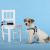 Поводок United Pets для собак Complete me Writing 140 см, 20 мм, голубой с рисунком