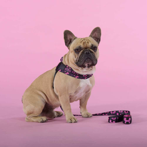 Шлейка United Pets для собак Complete me Identity 3,5 x 48-64 см, черная с розовым