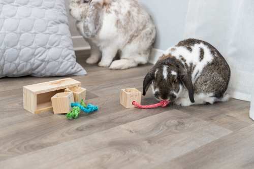 Игрушка для лакомств "Куб", дерево, 16 × 6 × 7 см