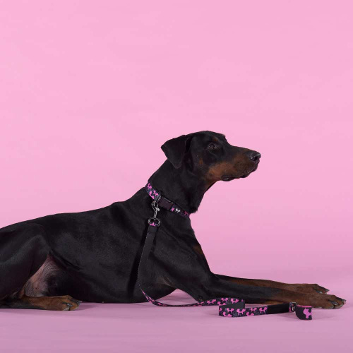 Ошейник United Pets для собак Complete me Identity S 26-40/1,6 см, черный с розовым