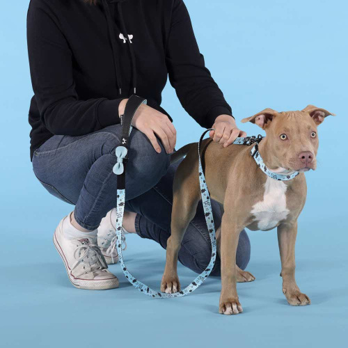 Ошейник United Pets для собак Complete me Writing S 26-40/1,6 см, голубой с рисунком