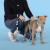 Ошейник United Pets для собак Complete me Writing S 26-40/1,6 см, голубой с рисунком