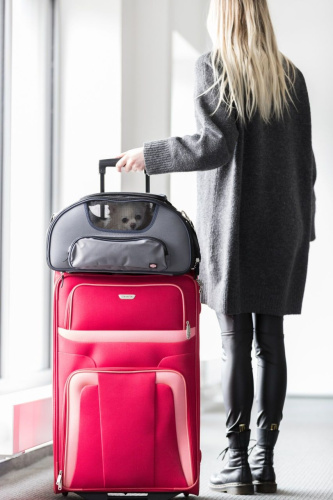 Переноска Wings для авиаперелетов, 28 х 23 х 46 см, серый/синий