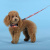 Шлейка United Pets для собак Complete me Forever 2,5 x 40-54 см, оранжевая с рисунком