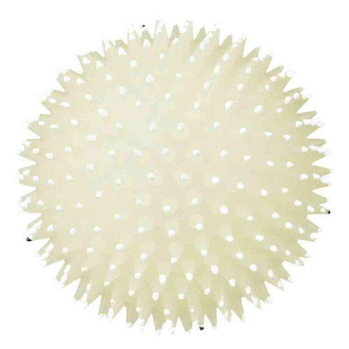 Мяч игольчатый "Лунный свет", ф 10 см