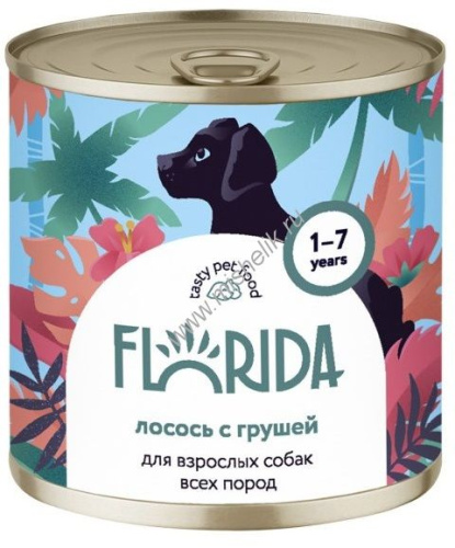 FLORIDA 240 г консервы для взрослых собак всех пород лосось с грушей 
