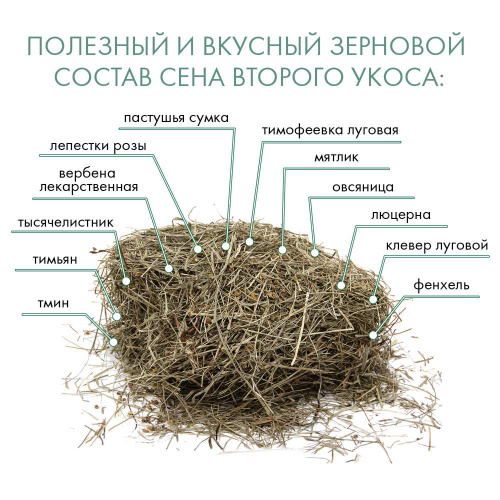 Сено Fiory Alpiland Camomile, для грызунов, с ромашкой, 500г