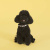 Ошейник United Pets для собак Complete me S 26-40/1,6 см, разноцветный рисунок
