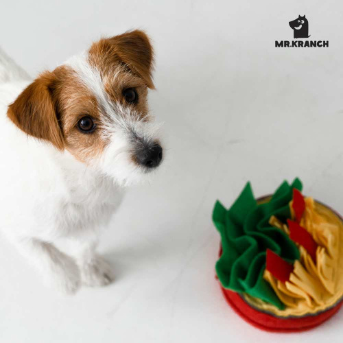 Нюхательная игрушка Mr.Kranch Пицца, размер 18x18см