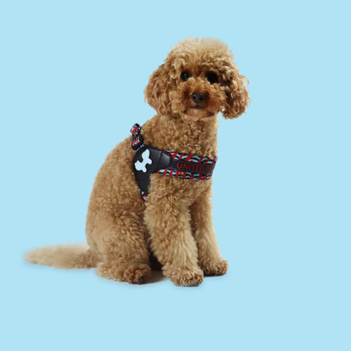 Шлейка United Pets для собак Complete me S 42 x 44-58 см, красная зебра