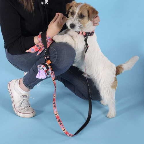 Ошейник United Pets для собак Complete me Forever S 26-40/1,6 см, оранжевый с рисунком