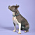 Ошейник United Pets для собак Complete me L 43-73/2,5 см, розовый камуфляж