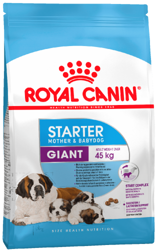 ROYAL CANIN GIANT STARTER 4 кг сухой корм для крупных пород щенков до 2-х месяцев, беременных и кормящих сук 