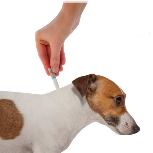 Bayer Адвокат 100 капли для собак 4-10 кг от чесоточных клещей, блох и гельминтов (1 пипетка х 1 мл)