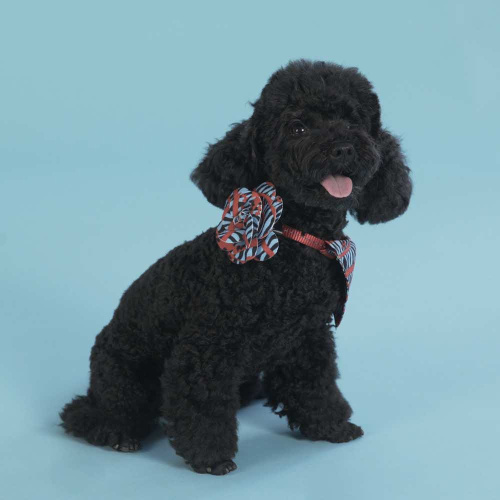Аксессуар United Pets для собак Complete me Роза, красная зебра